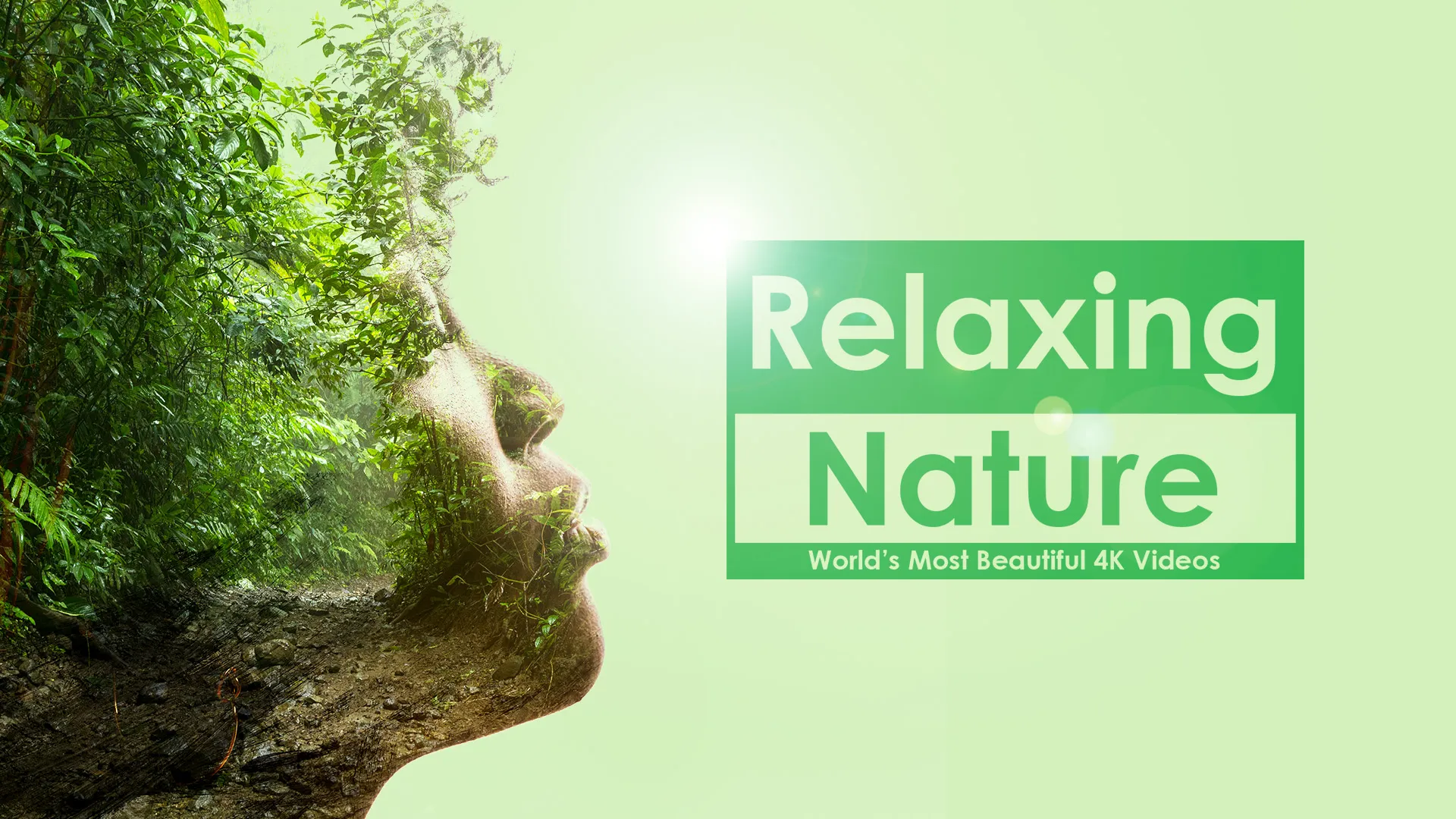 Relaxing Nature | Indus Appstore | Screenshot