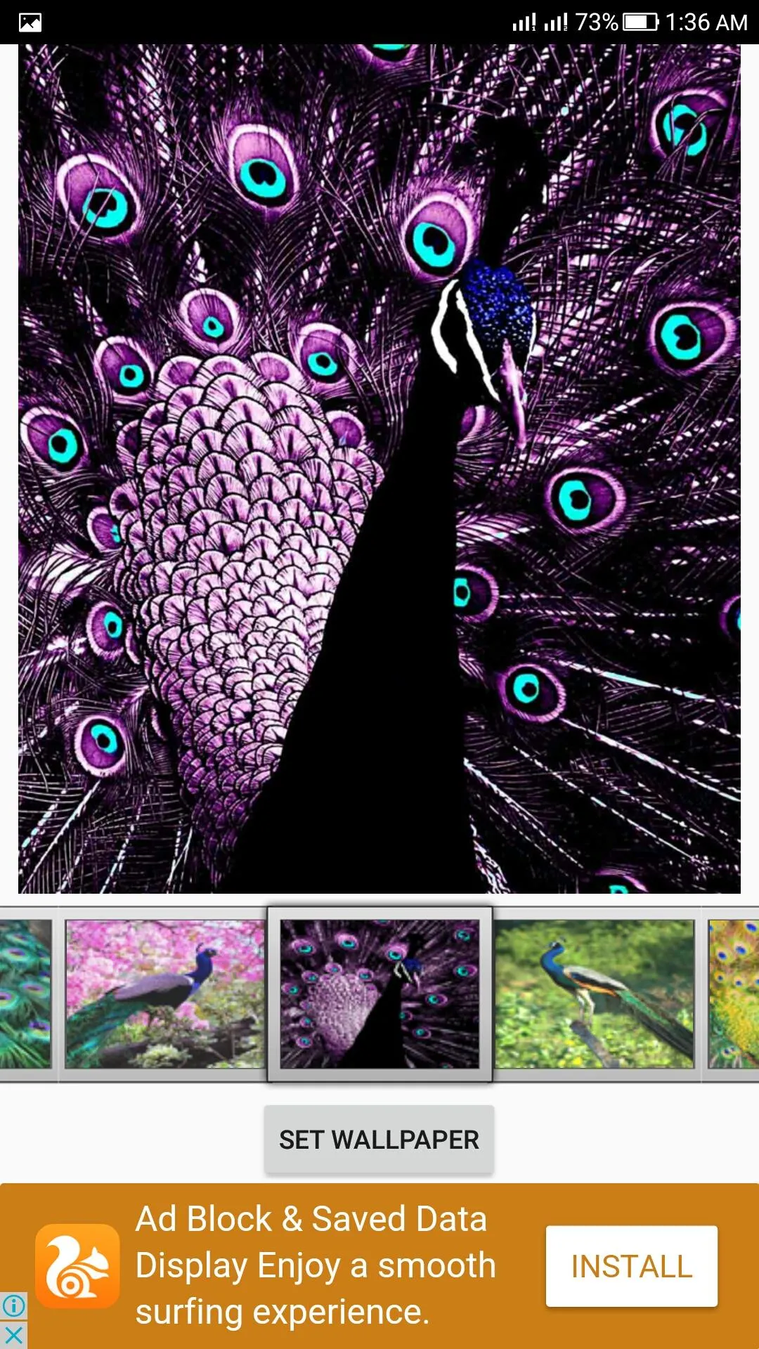 Peacock Live Wallpaper | Indus Appstore | Screenshot