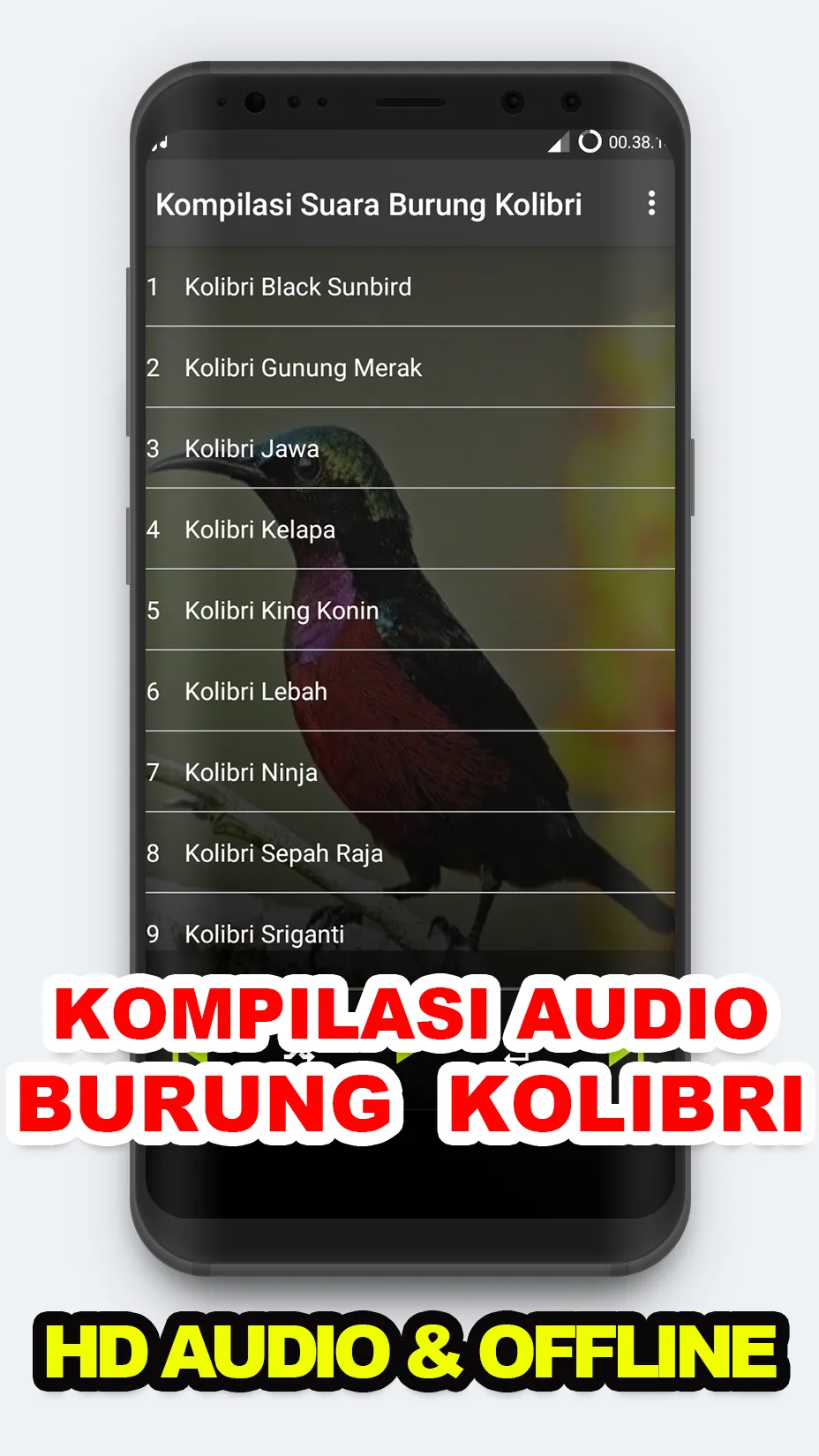 Suara Kicau: Burung Kolibri | Indus Appstore | Screenshot