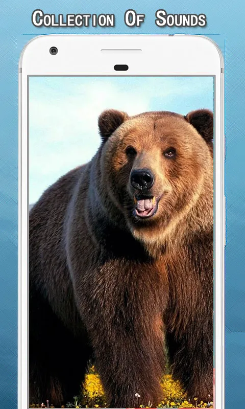 Wild Bear Sounds Ringtone | Indus Appstore | Screenshot