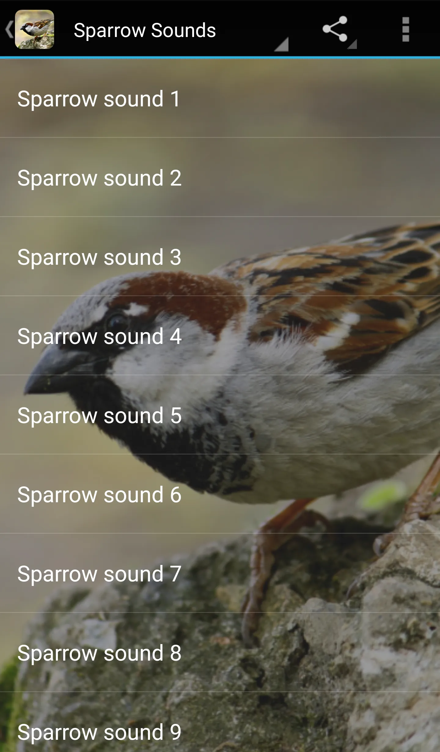 Sparrow Sounds | Indus Appstore | Screenshot