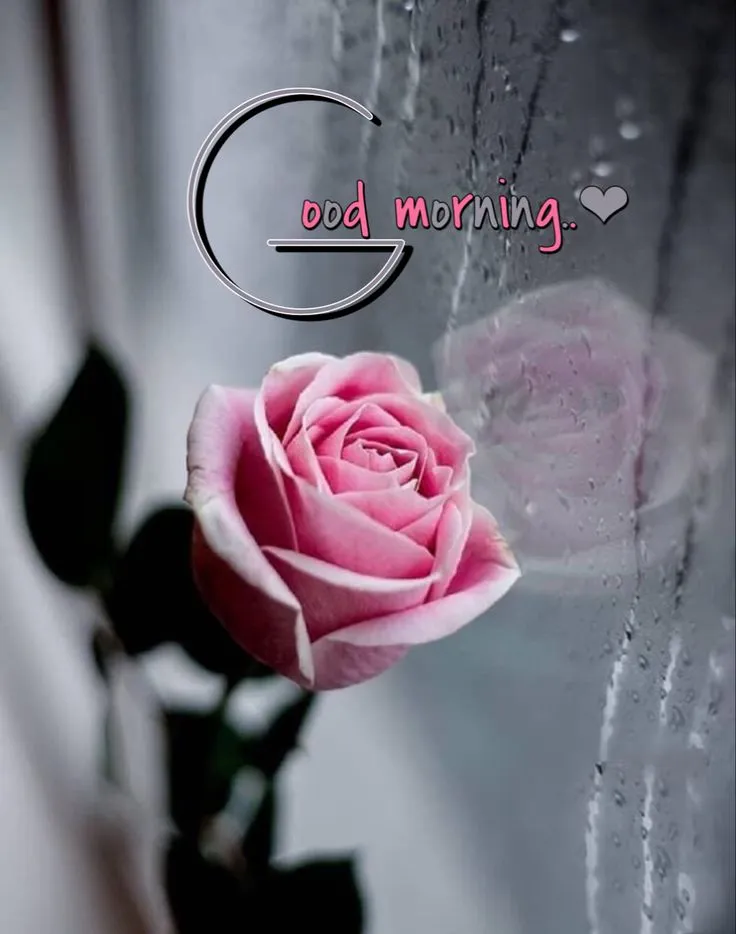 GoodMorning Images GIF 2023 | Indus Appstore | Screenshot