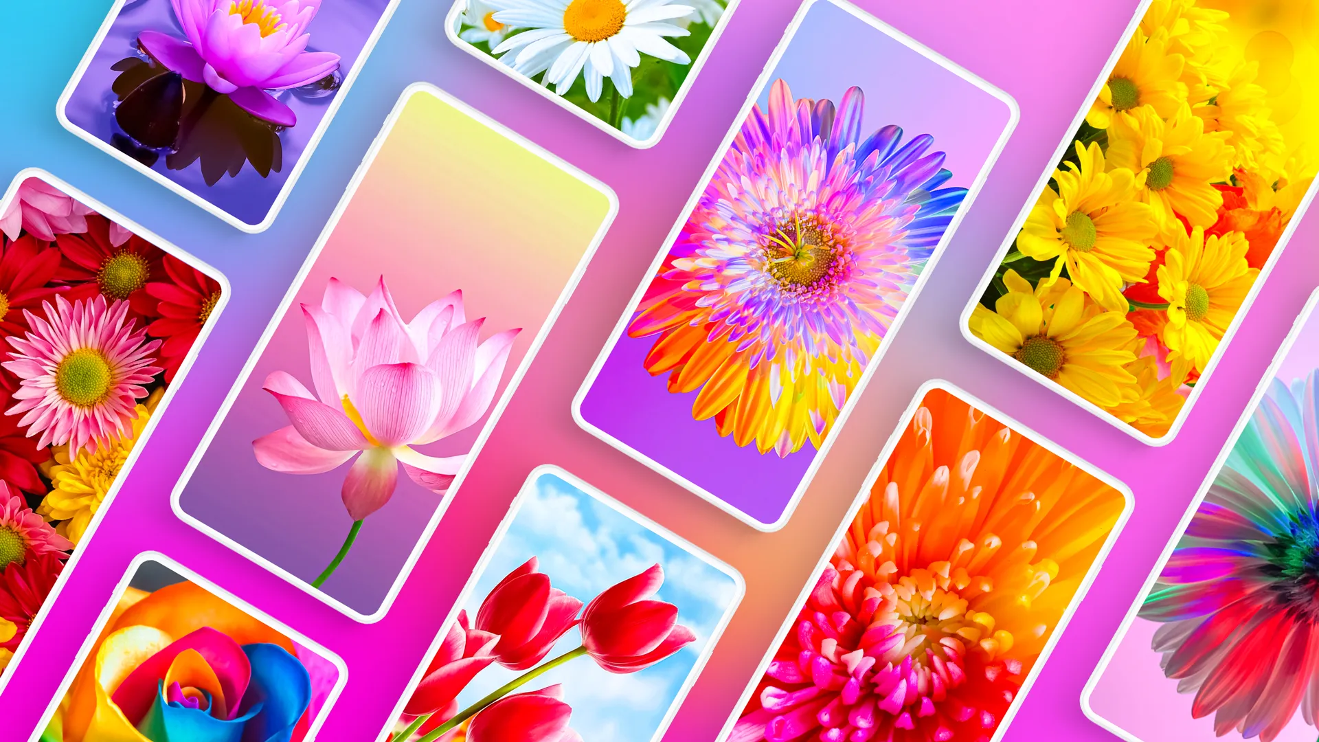 Flower Wallpapers 4K | Indus Appstore | Screenshot