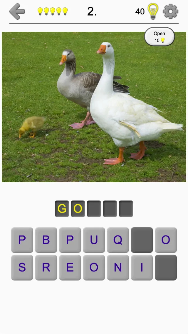 Bird World - Famous Birds Quiz | Indus Appstore | Screenshot