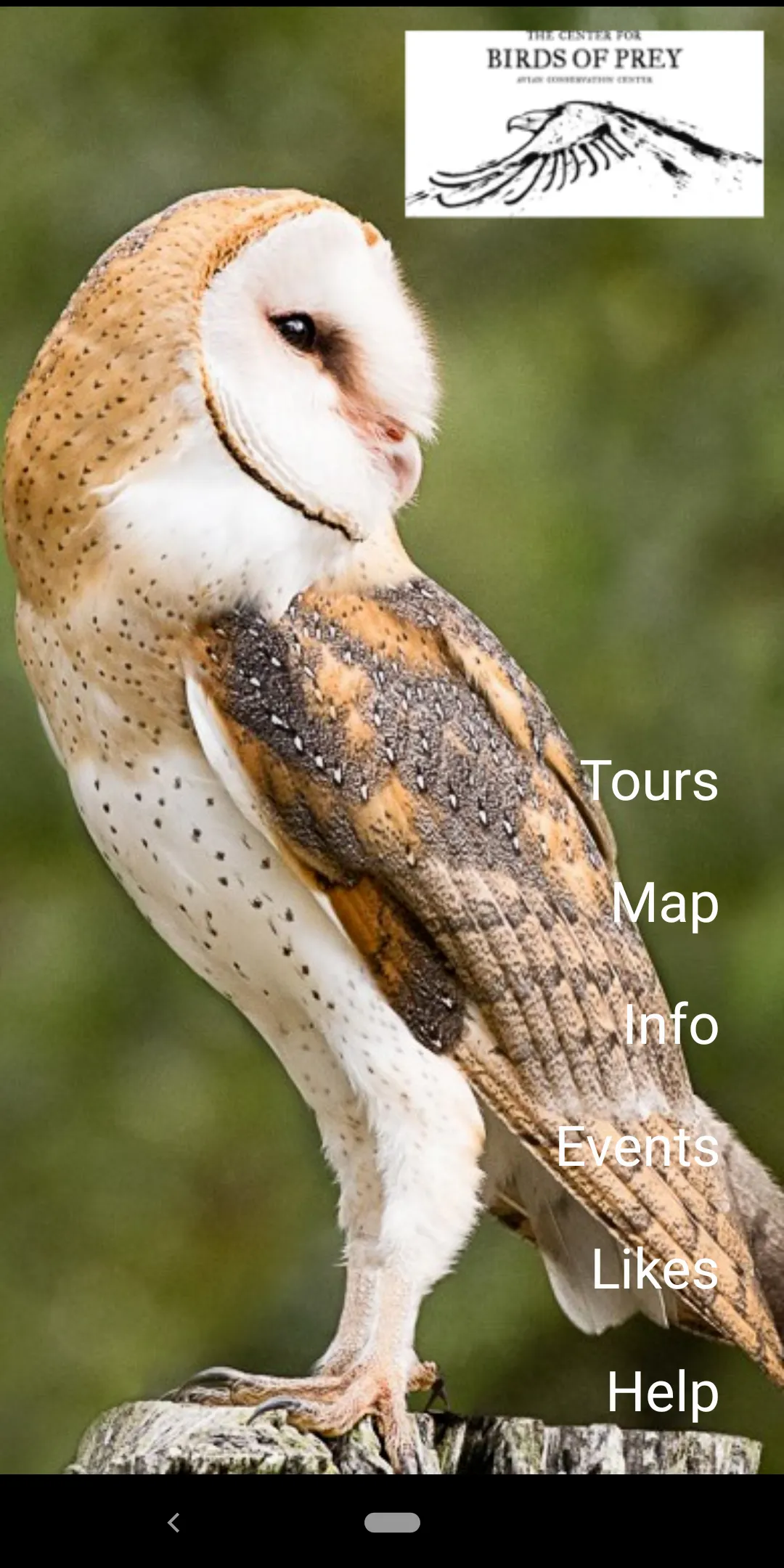 The Center for Birds of Prey | Indus Appstore | Screenshot