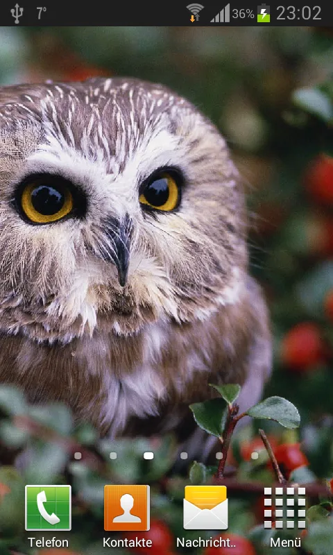 Owls Live Wallpaper | Indus Appstore | Screenshot