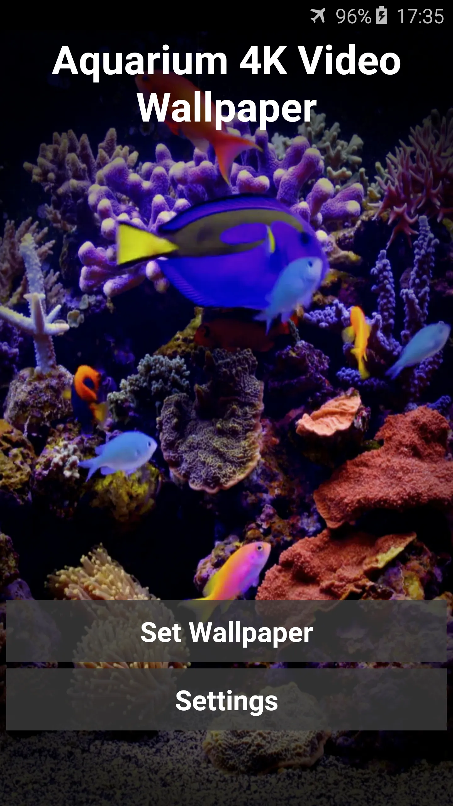 Aquarium 4K Video Wallpaper | Indus Appstore | Screenshot