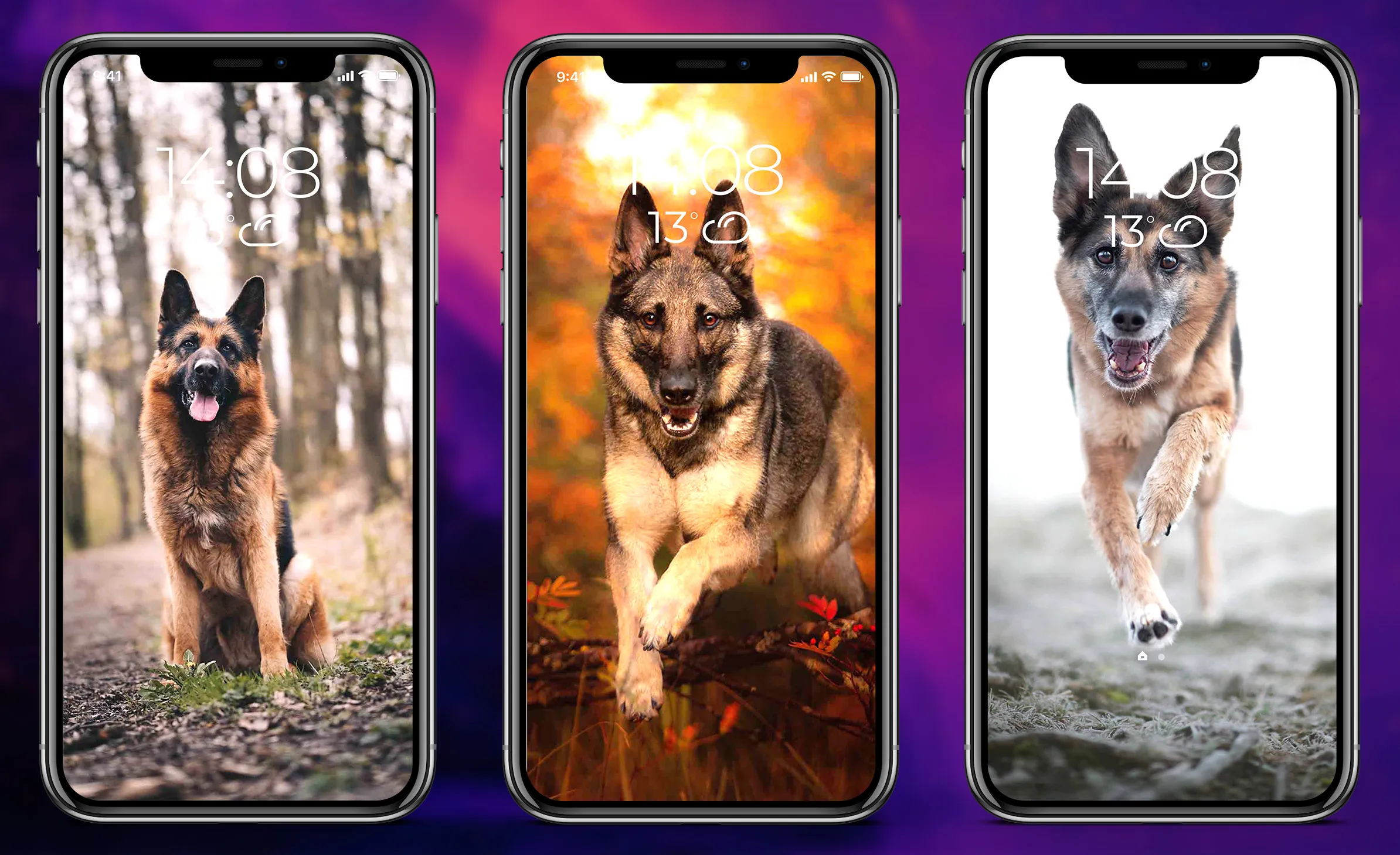 German Shepherd Wallpapers | Indus Appstore | Screenshot