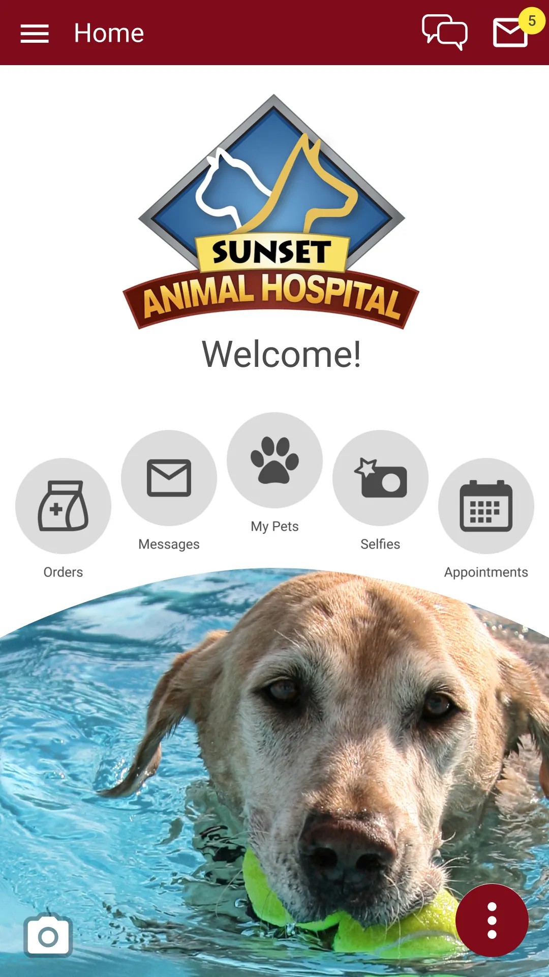 Sunset Animal Hospital | Indus Appstore | Screenshot