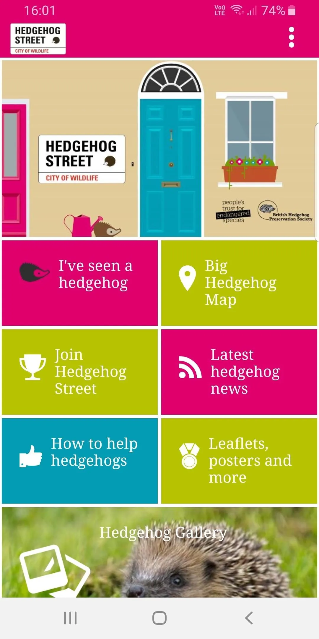 Hedgehog Street | Indus Appstore | Screenshot