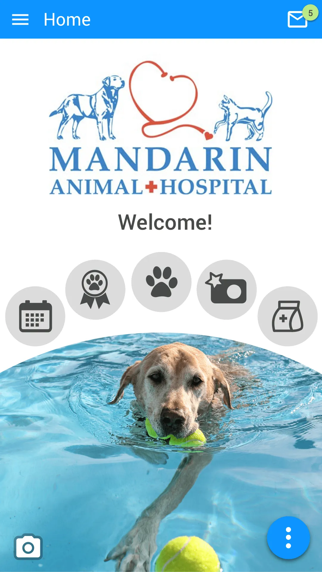 Mandarin Vet | Indus Appstore | Screenshot