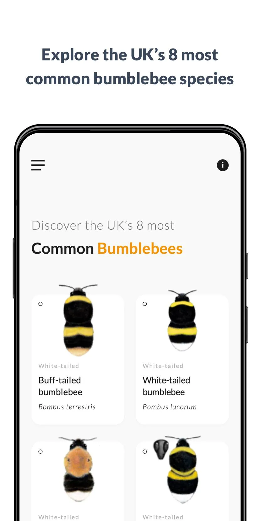 What’s that bumblebee | Indus Appstore | Screenshot