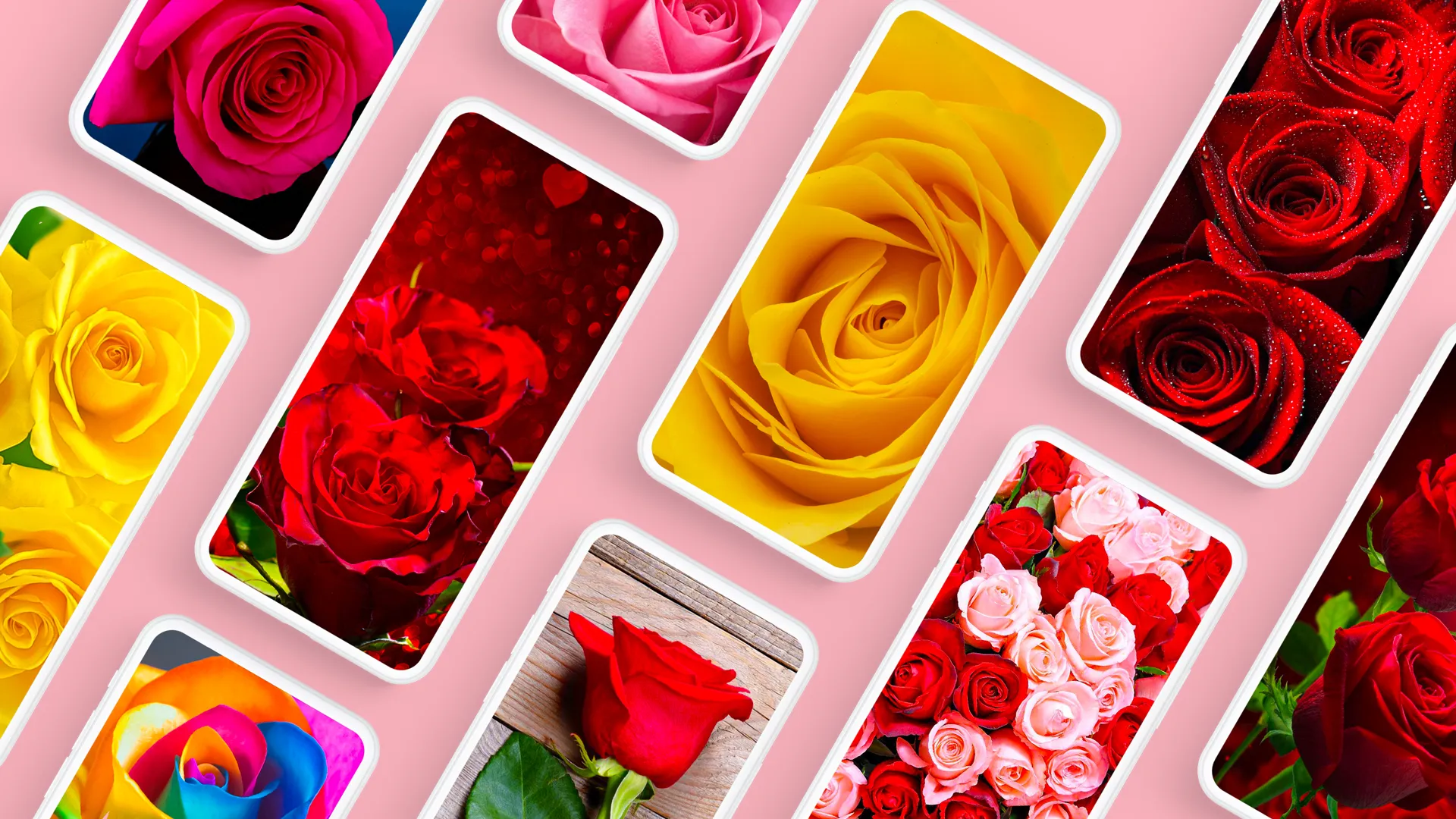 Rose Wallpapers 4K | Indus Appstore | Screenshot