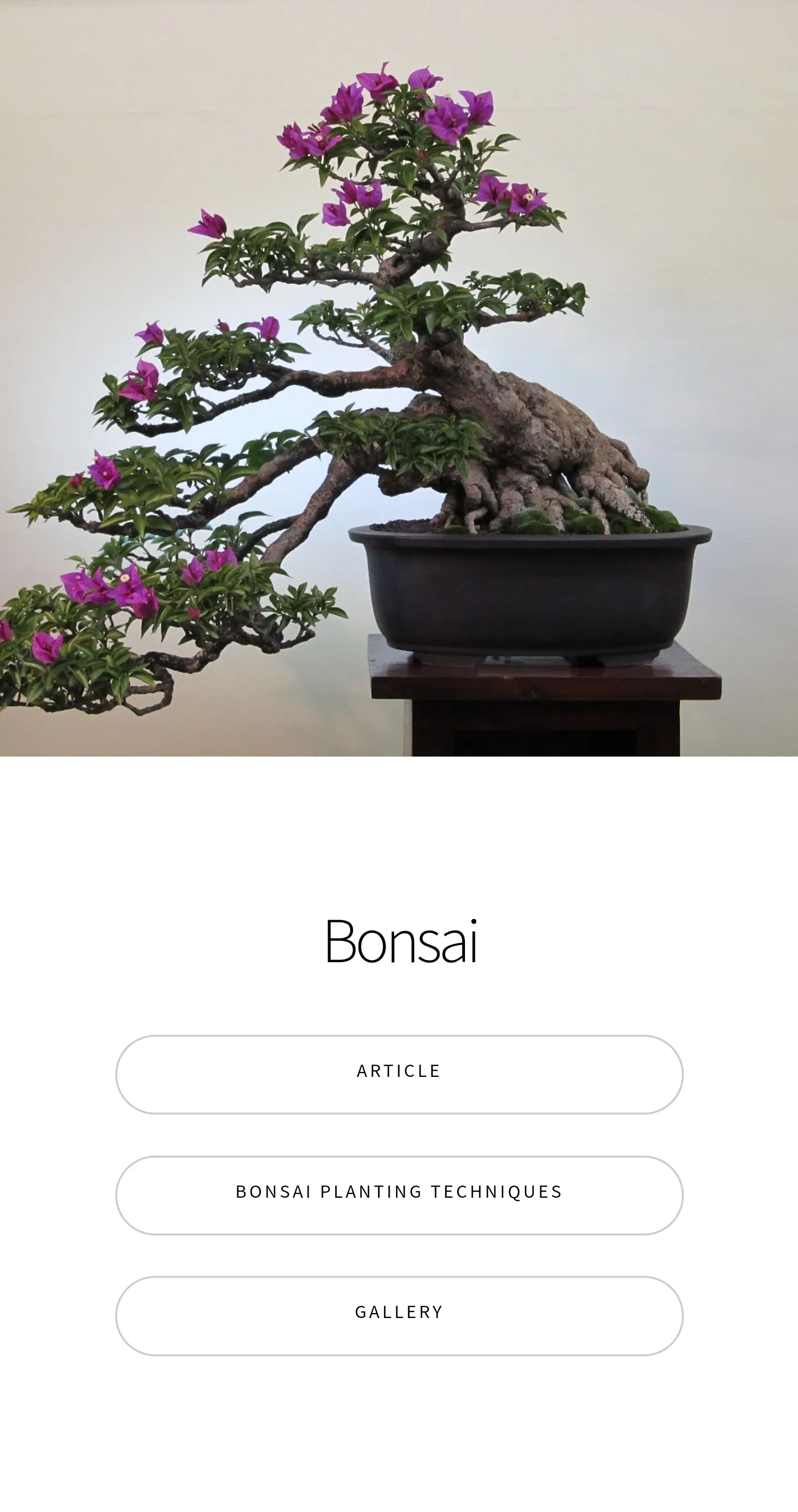 Bonsai Guide - Planting Techni | Indus Appstore | Screenshot