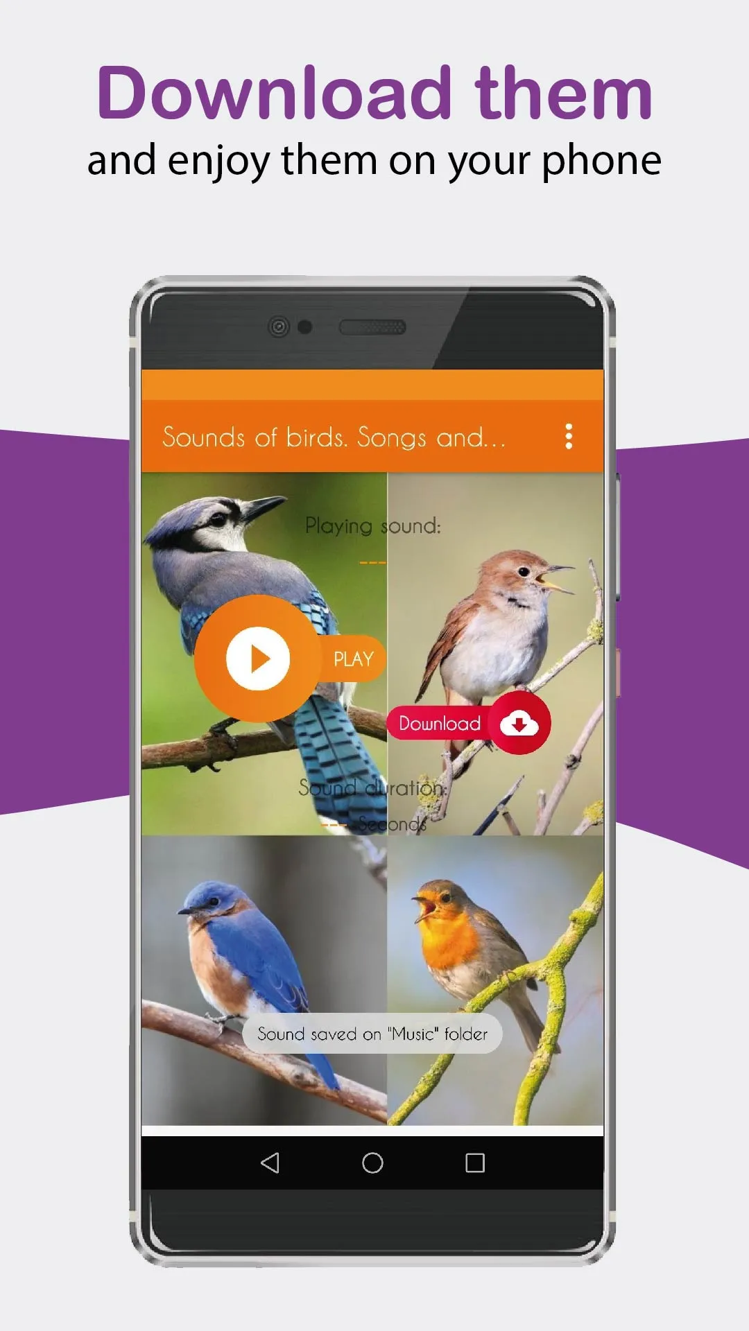 Bird sounds. Nice songs. | Indus Appstore | Screenshot