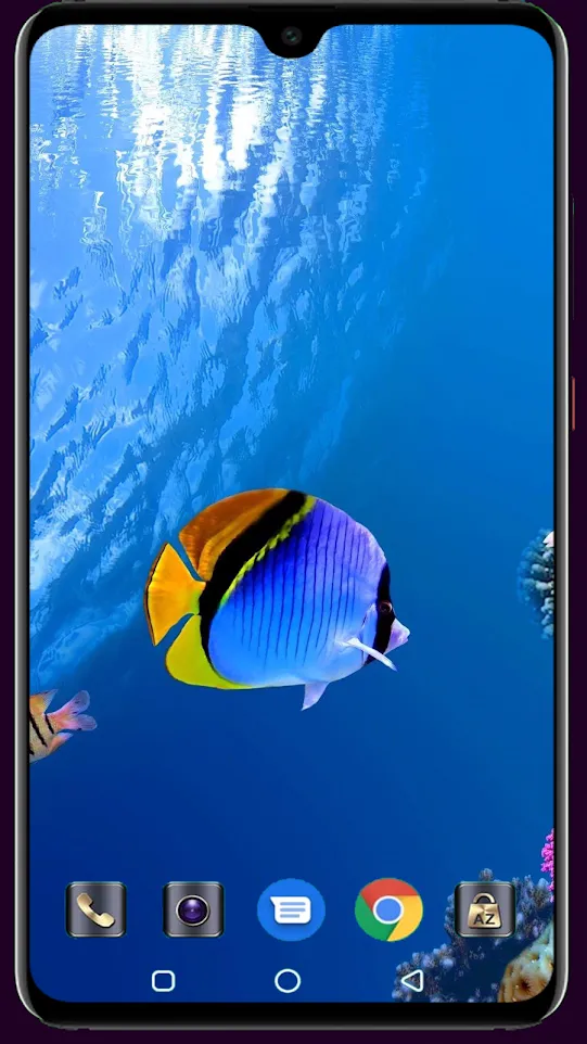 HD Fish Wallpaper | Indus Appstore | Screenshot