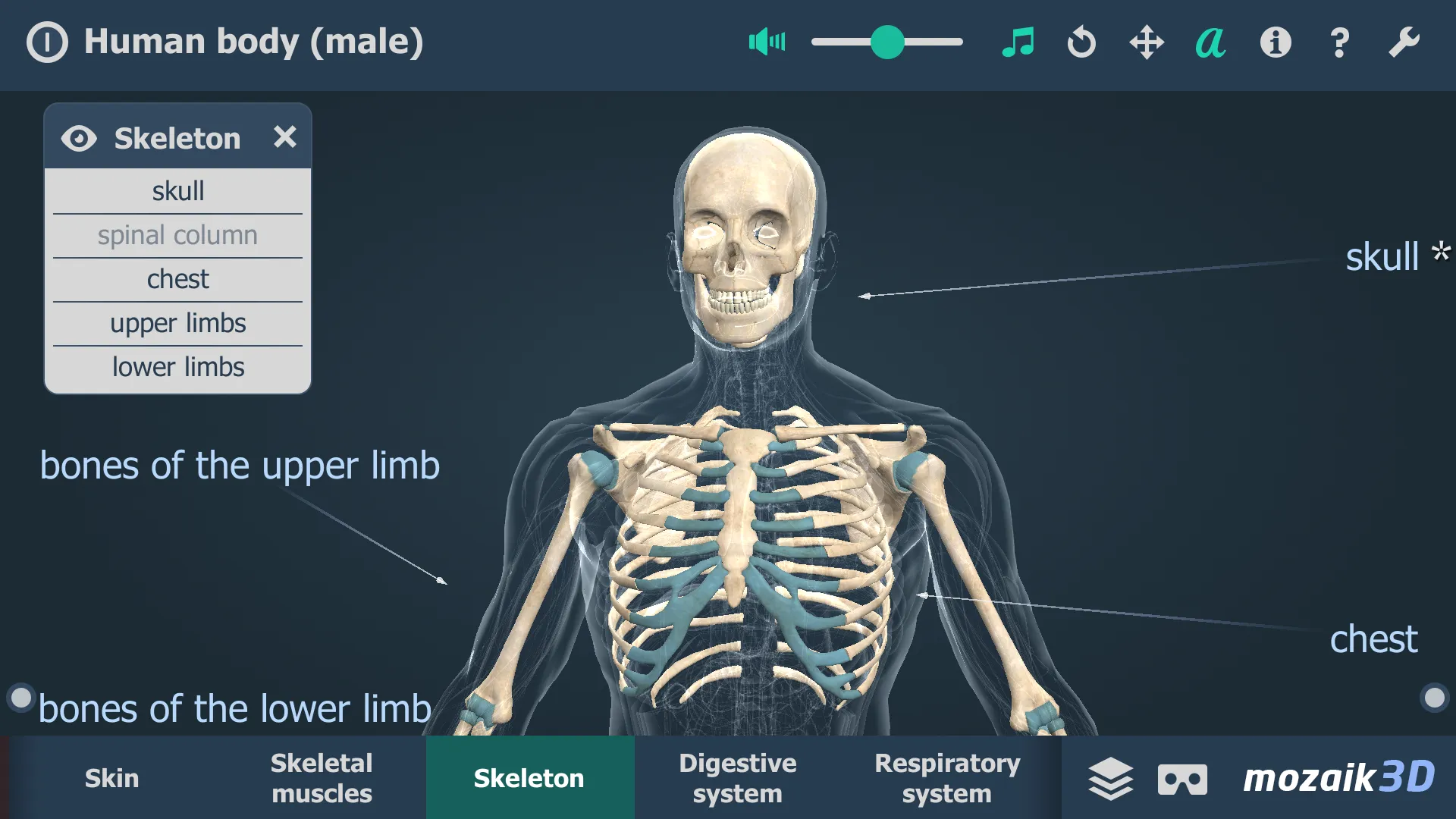 Human body (male) 3D scene | Indus Appstore | Screenshot