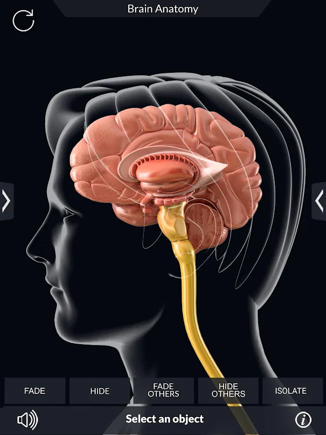 Brain Anatomy Pro. | Indus Appstore | Screenshot