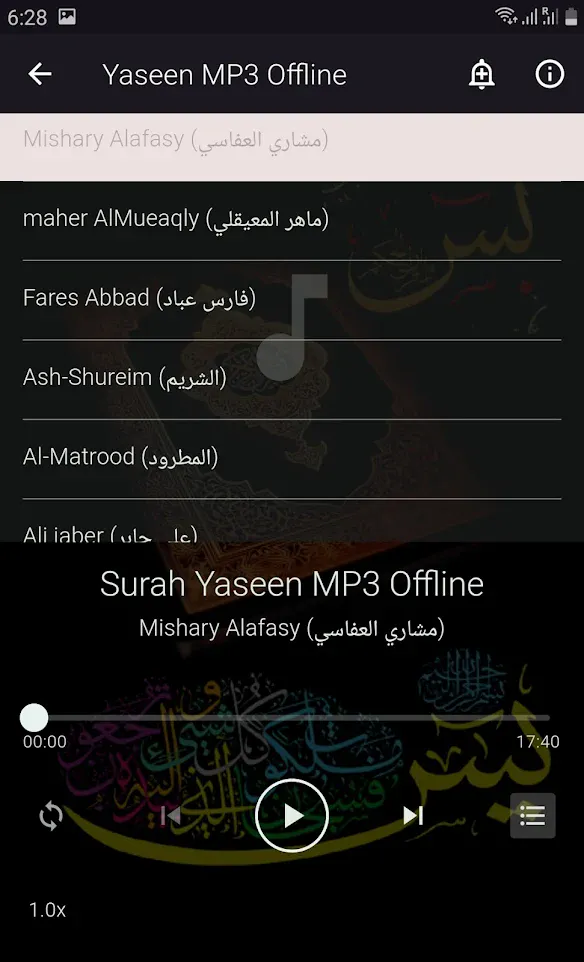 Yaseen MP3 Offline | Indus Appstore | Screenshot