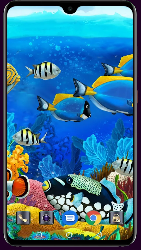 HD Fish Wallpaper | Indus Appstore | Screenshot