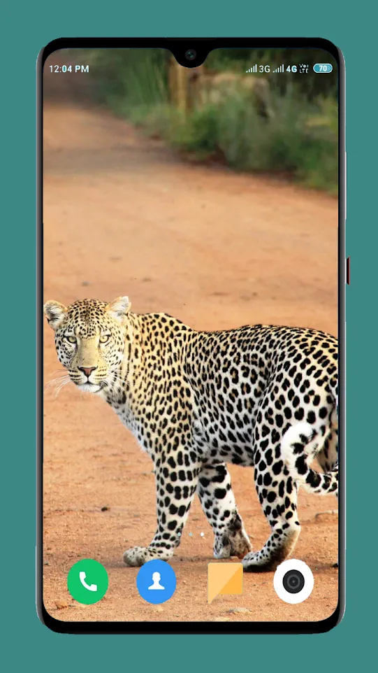 Wild Animal Wallpaper 4K | Indus Appstore | Screenshot