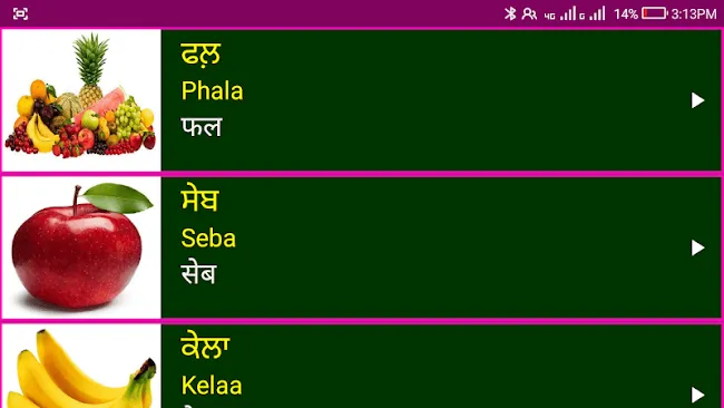 Learn Punjabi From Hindi | Indus Appstore | Screenshot