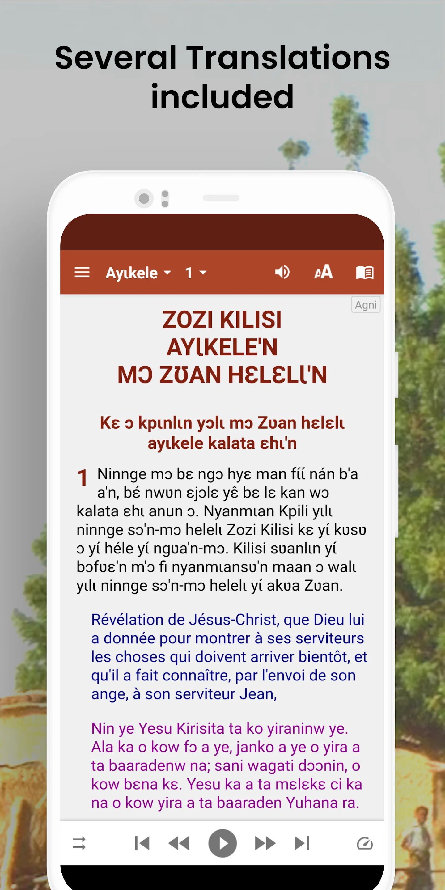 Bible Anyin Sanvi - NT+audio | Indus Appstore | Screenshot