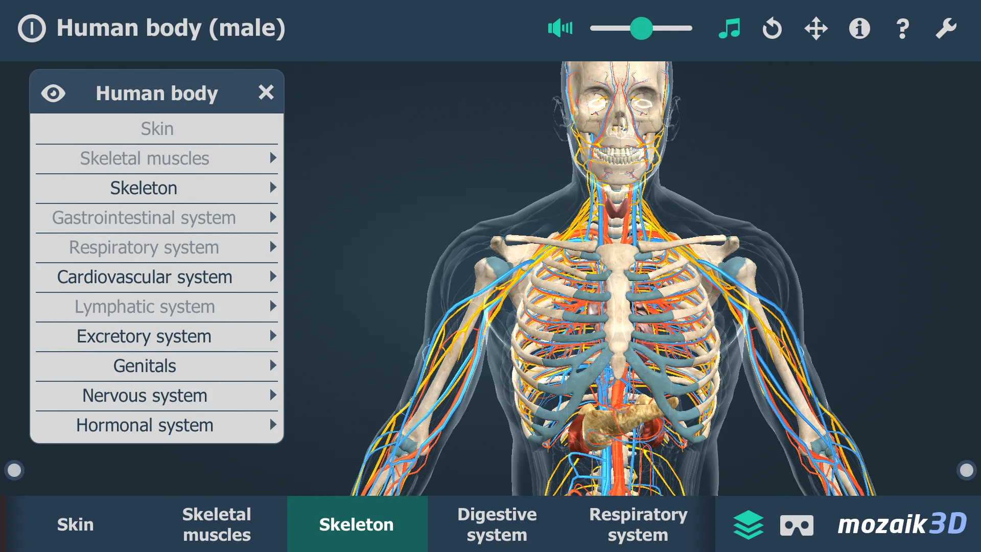 Human body (male) 3D scene | Indus Appstore | Screenshot