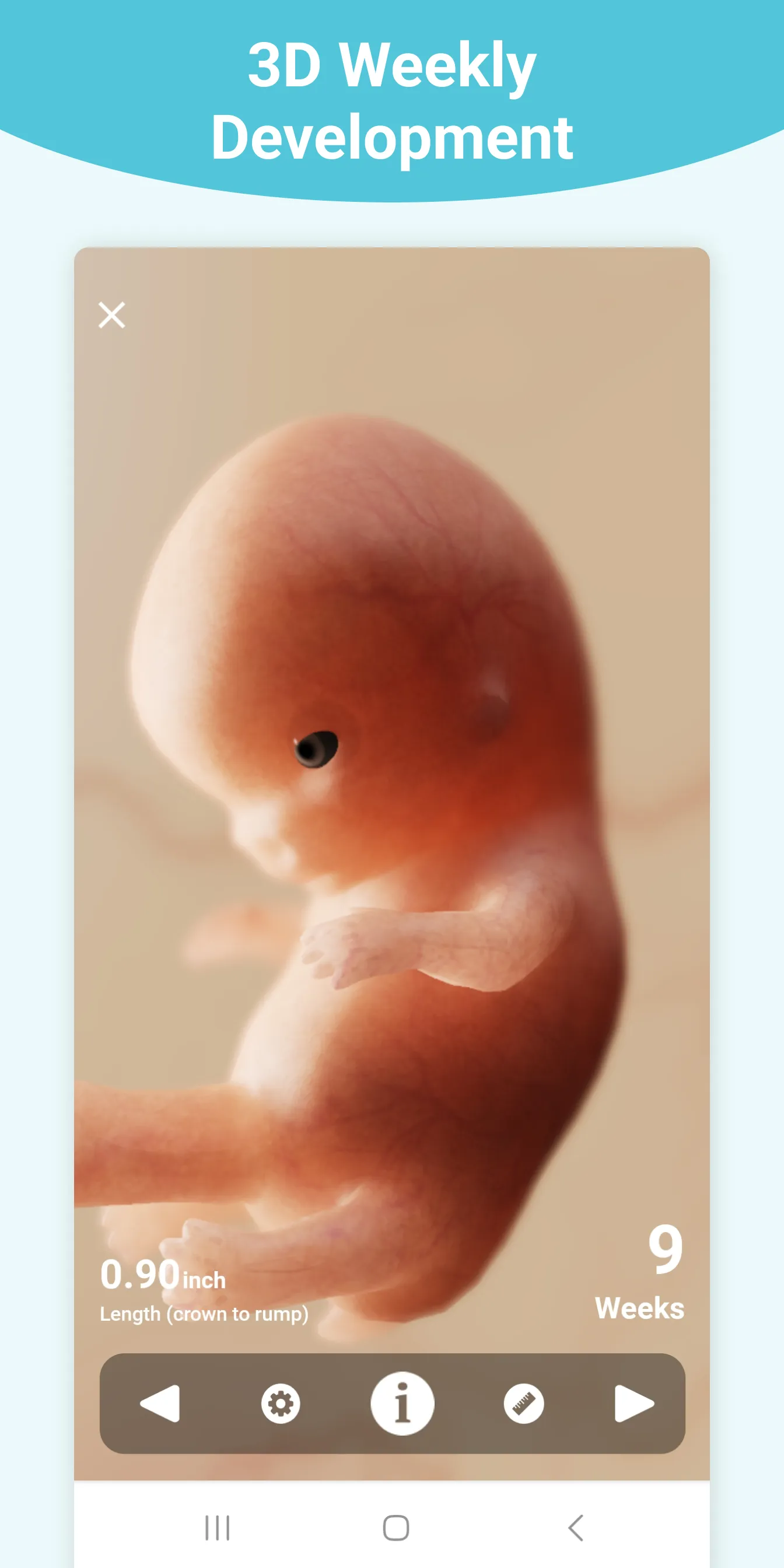 Pregnancy + | Tracker App | Indus Appstore | Screenshot