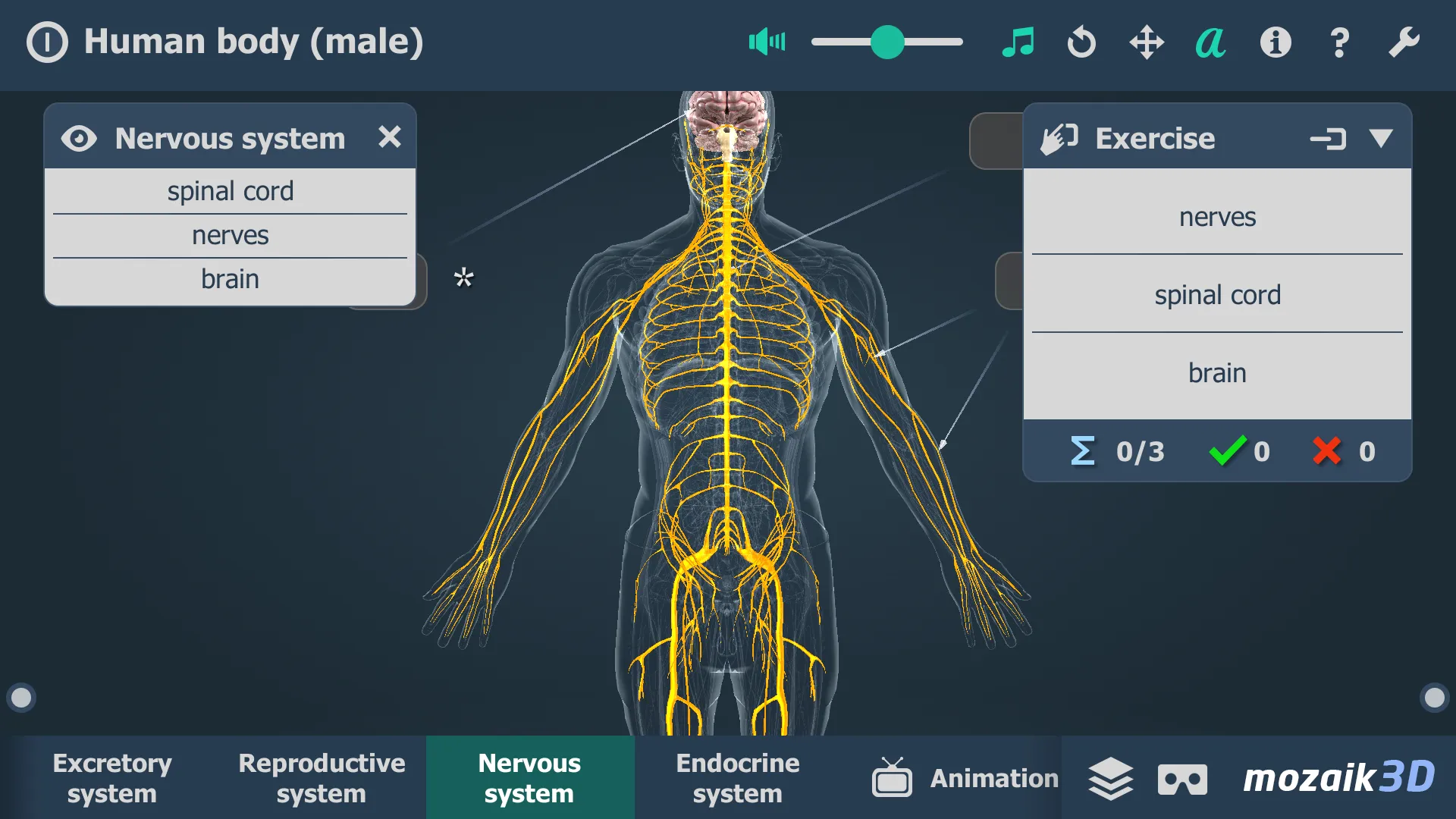 Human body (male) 3D scene | Indus Appstore | Screenshot