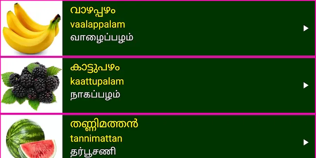 Learn Malayalam From Tamil | Indus Appstore | Screenshot