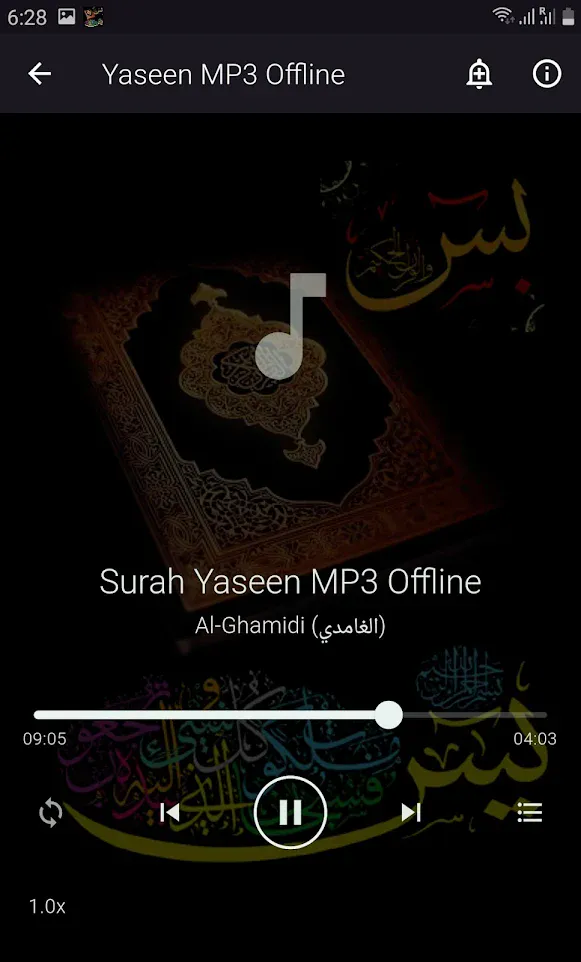 Yaseen MP3 Offline | Indus Appstore | Screenshot