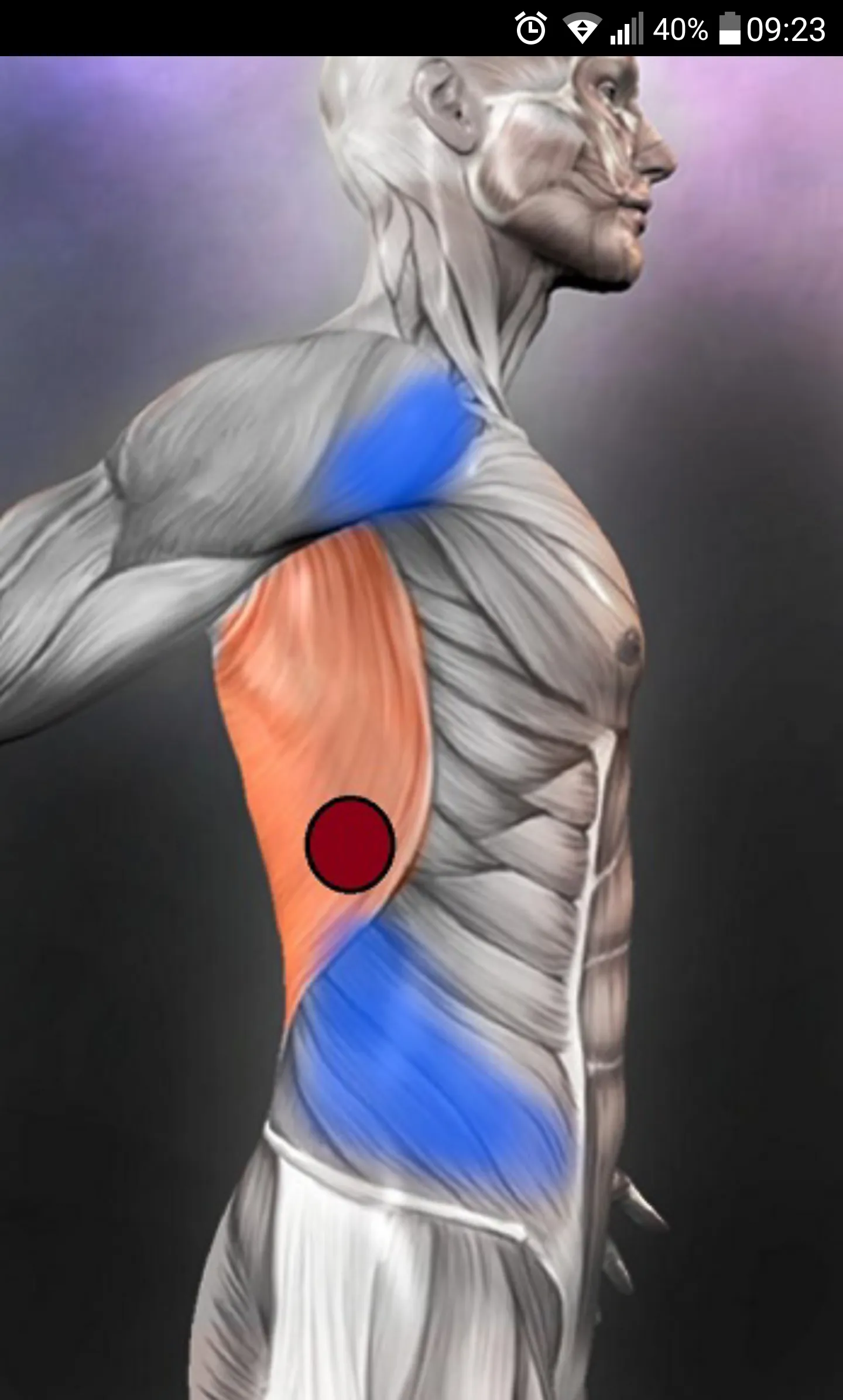 Trigger Points | Indus Appstore | Screenshot