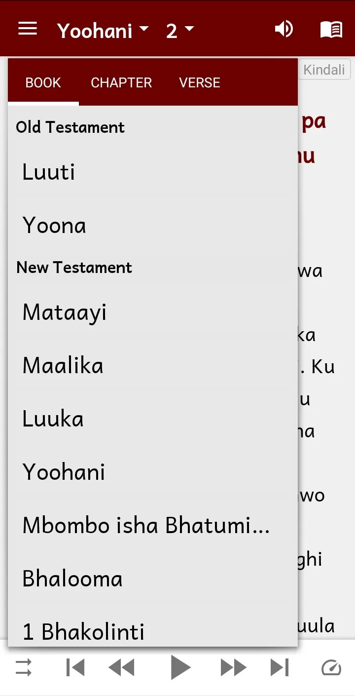 Ndali Bible with Swahili | Indus Appstore | Screenshot