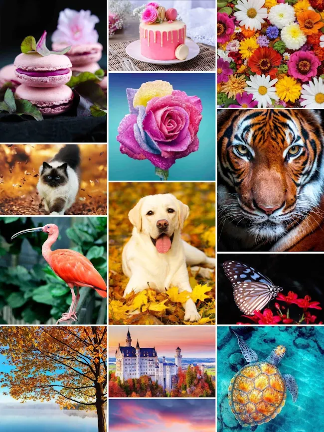 Jigsaw1000: Jigsaw puzzles | Indus Appstore | Screenshot