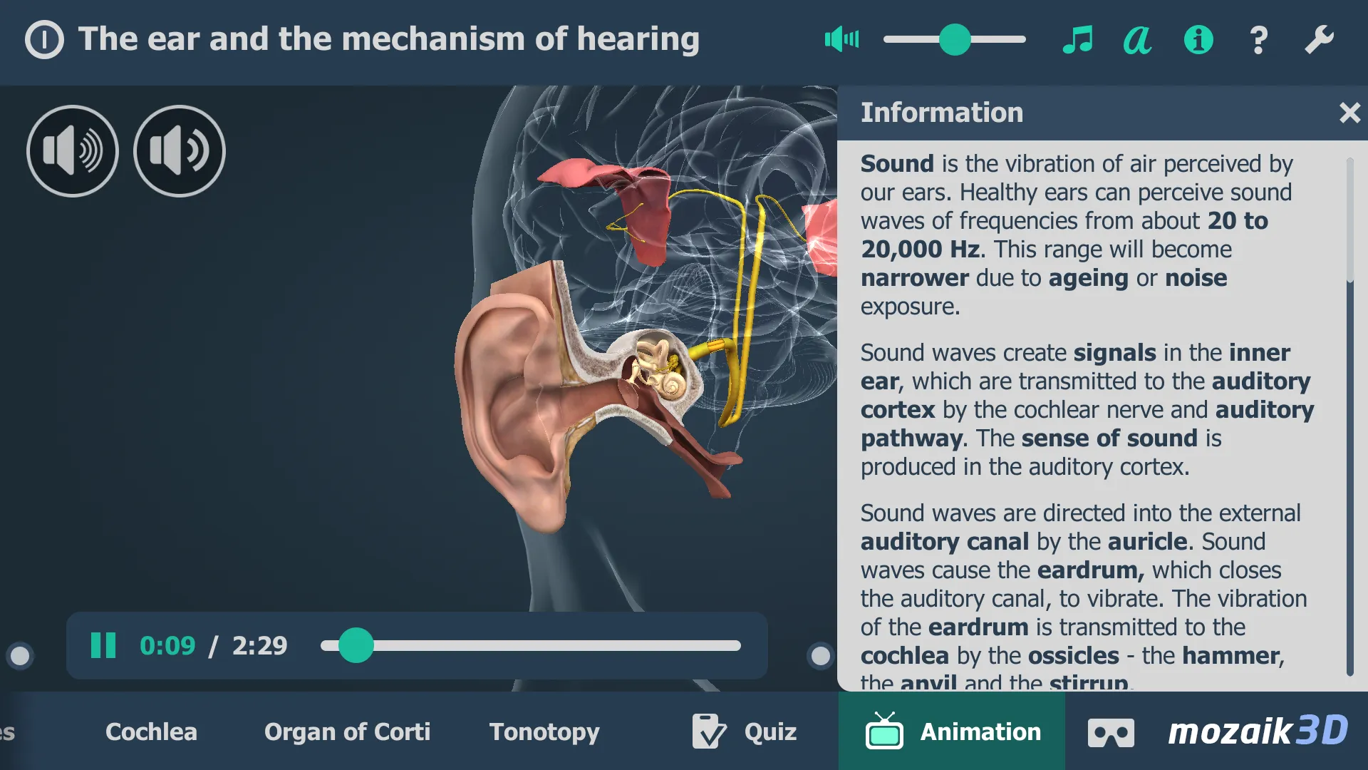 The mechanism of hearing 3D | Indus Appstore | Screenshot