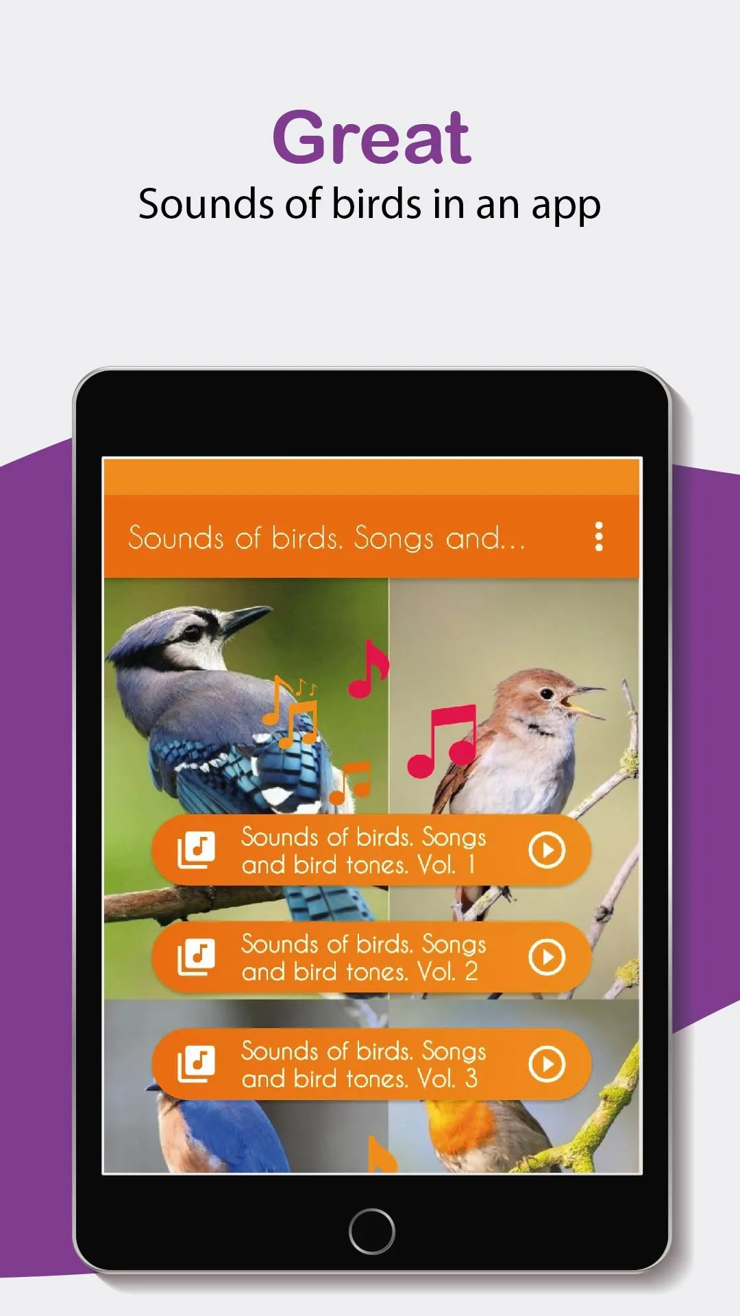 Bird sounds. Nice songs. | Indus Appstore | Screenshot