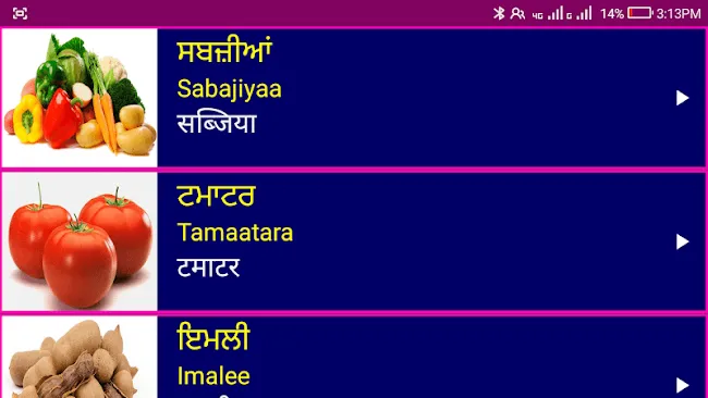 Learn Punjabi From Hindi | Indus Appstore | Screenshot