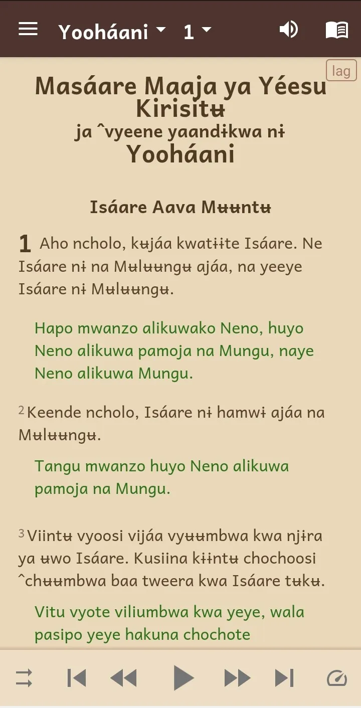 Rangi Bible - Audio & Swahili | Indus Appstore | Screenshot