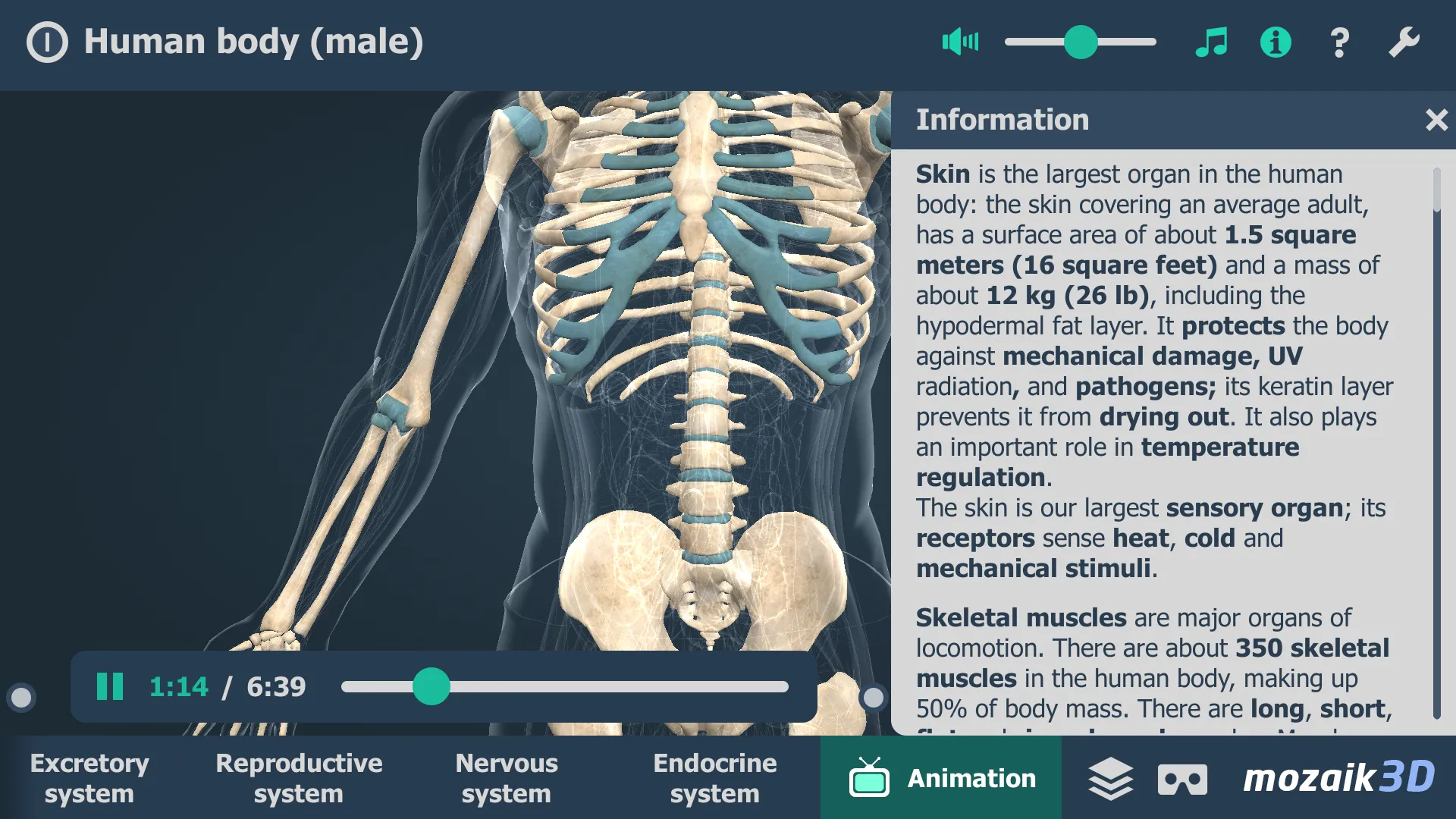 Human body (male) 3D scene | Indus Appstore | Screenshot