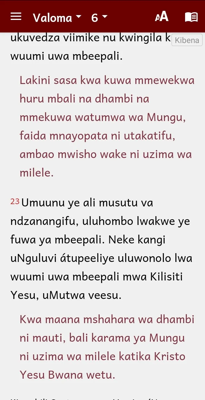 Bena Bible with Swahili NT | Indus Appstore | Screenshot