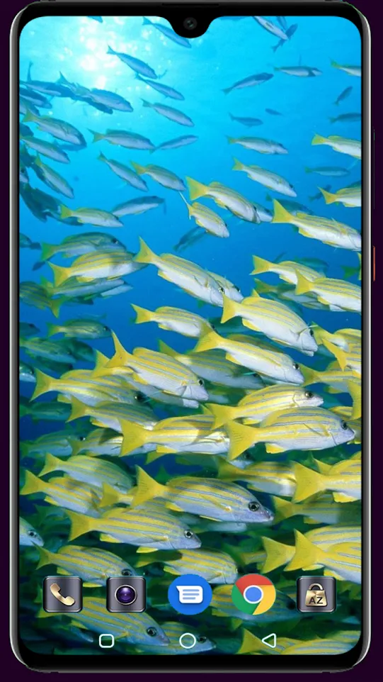 HD Fish Wallpaper | Indus Appstore | Screenshot