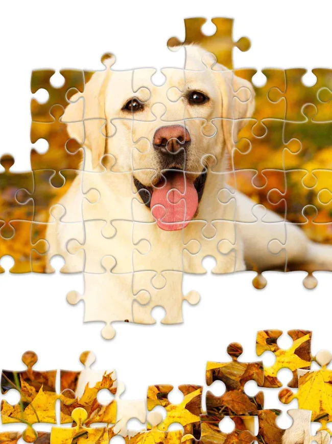 Jigsaw1000: Jigsaw puzzles | Indus Appstore | Screenshot