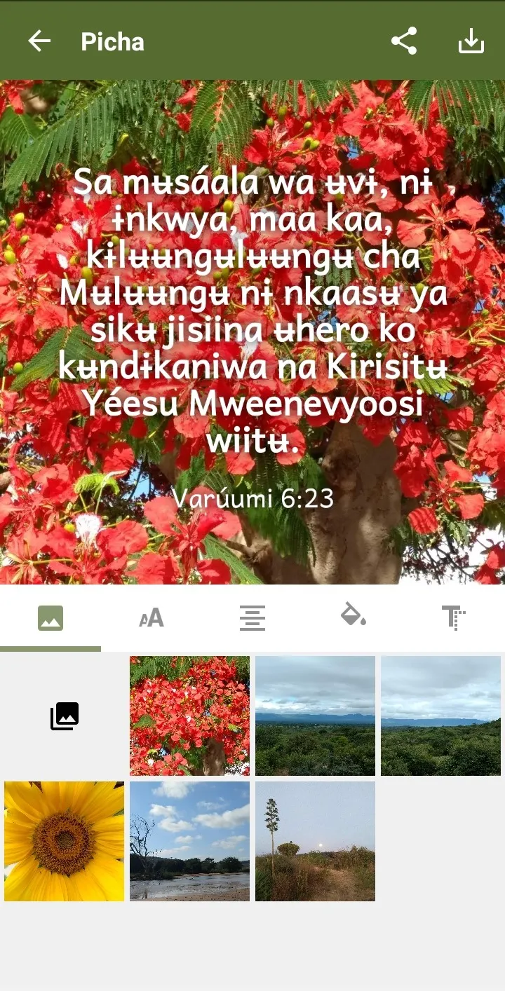 Rangi Bible - Audio & Swahili | Indus Appstore | Screenshot