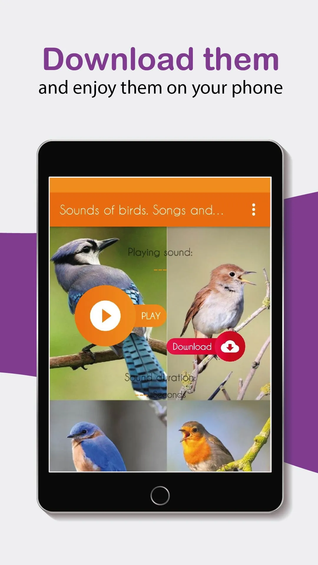 Bird sounds. Nice songs. | Indus Appstore | Screenshot