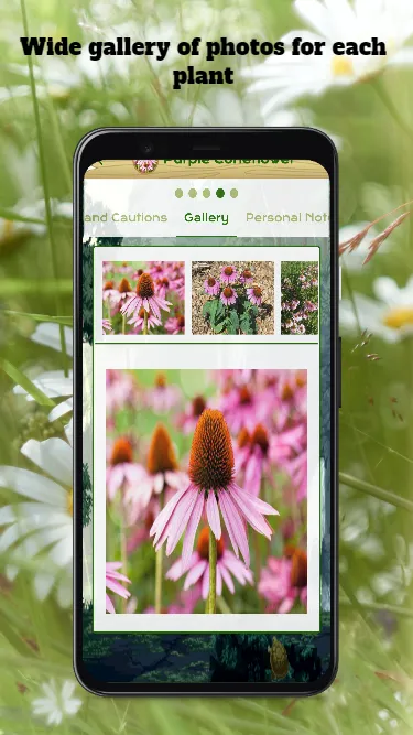 Medicinal Plants & Remedies | Indus Appstore | Screenshot