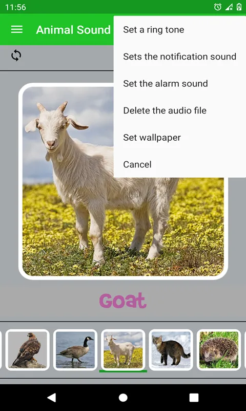 Animal Sound | Indus Appstore | Screenshot