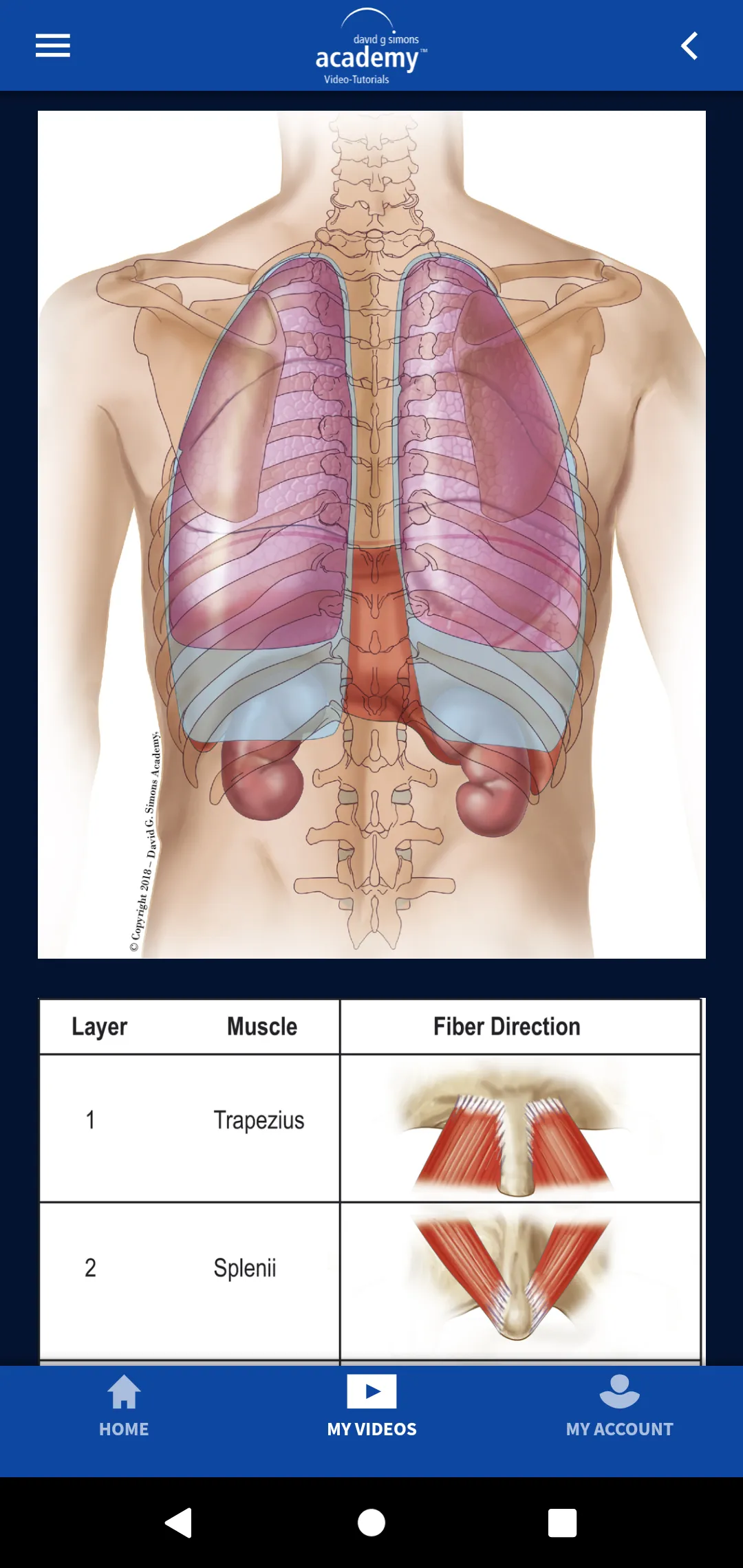 DGSA Dry Needling Videos | Indus Appstore | Screenshot