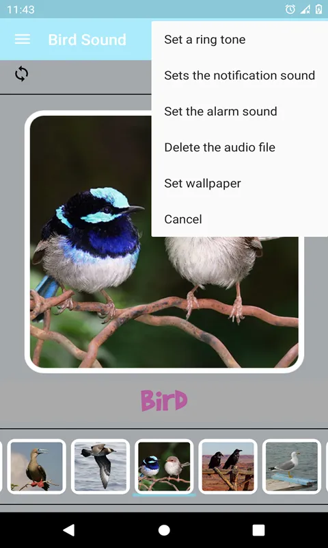 Bird Sound | Indus Appstore | Screenshot