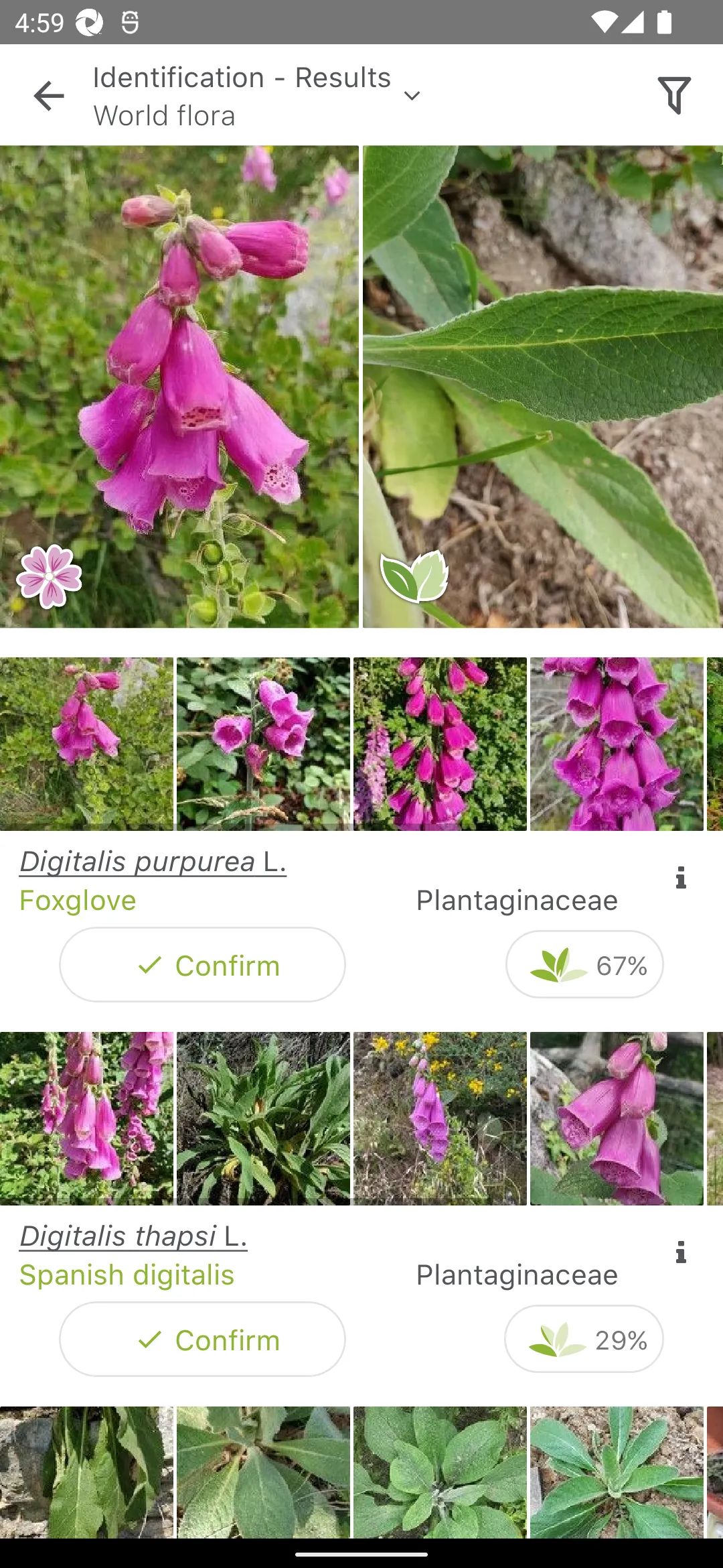 PlantNet Plant Identification | Indus Appstore | Screenshot